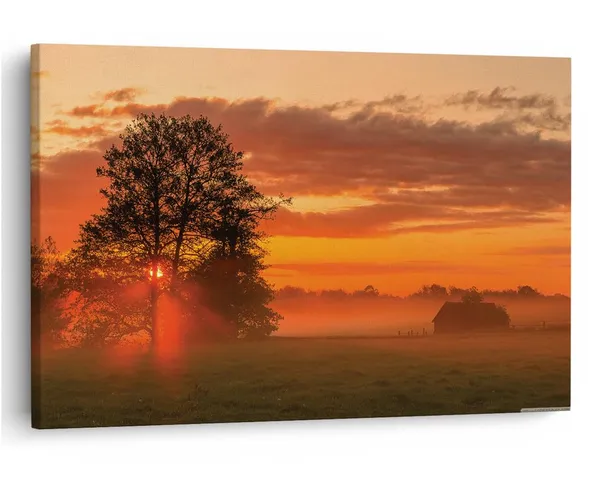 Multicolor_16_X_24_Inch,_Pine_Wood_Framed_Canvas_Paintings_|_For_Home_Decor,_Ready_To_Wall_Hanging,_Premium_Painting_|_For_|_Bedroom,_Living_Room,_Office_Wall_Decoration_|_Wall_Art_Painting,_Ct2600