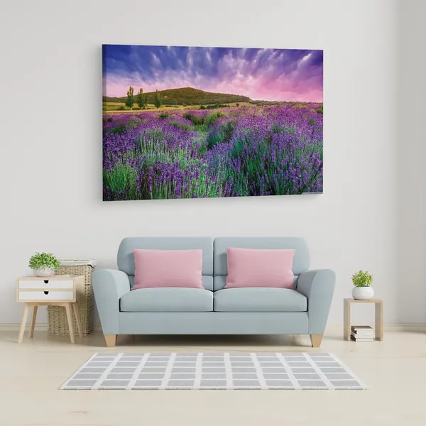 Multicolor_16_X_24_Inch,_Pine_Wood_Framed_Canvas_Paintings_|_For_Home_Decor,_Ready_To_Wall_Hanging,_Premium_Painting_|_For_|_Bedroom,_Living_Room,_Office_Wall_Decoration_|_Wall_Art_Painting,_Ct2611