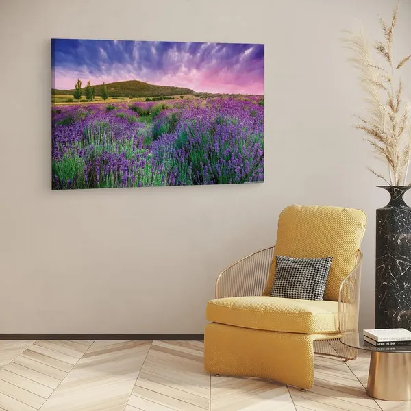 Multicolor_16_X_24_Inch,_Pine_Wood_Framed_Canvas_Paintings_|_For_Home_Decor,_Ready_To_Wall_Hanging,_Premium_Painting_|_For_|_Bedroom,_Living_Room,_Office_Wall_Decoration_|_Wall_Art_Painting,_Ct2611