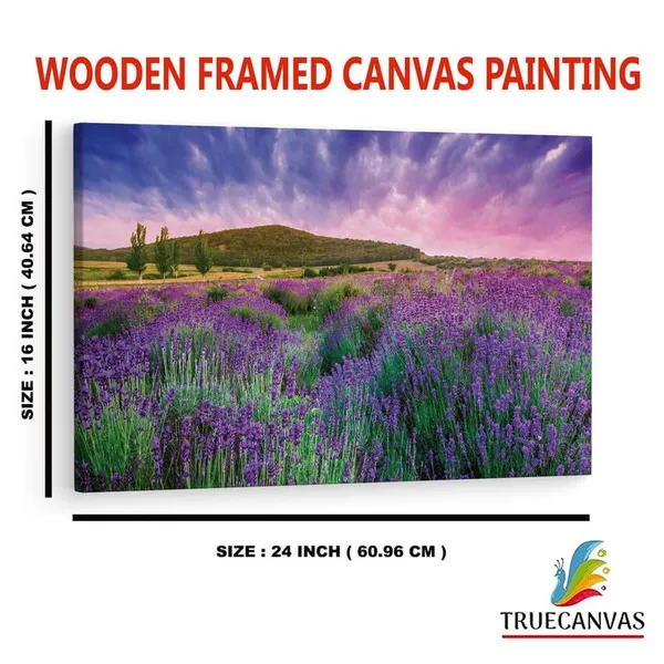 Multicolor_16_X_24_Inch,_Pine_Wood_Framed_Canvas_Paintings_|_For_Home_Decor,_Ready_To_Wall_Hanging,_Premium_Painting_|_For_|_Bedroom,_Living_Room,_Office_Wall_Decoration_|_Wall_Art_Painting,_Ct2611