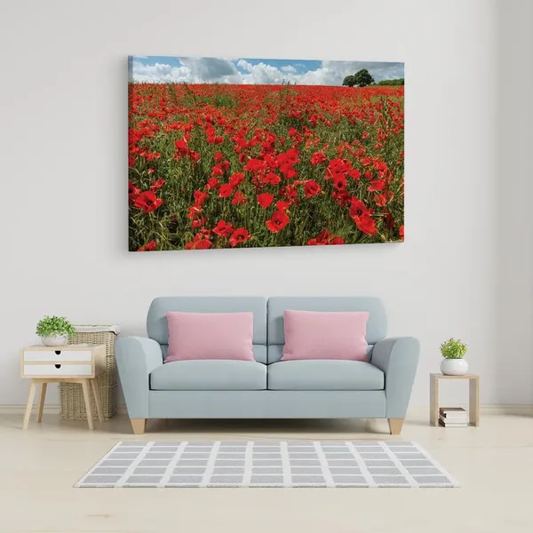 Multicolor_16_X_24_Inch,_Pine_Wood_Framed_Canvas_Paintings_|_For_Home_Decor,_Ready_To_Wall_Hanging,_Premium_Painting_|_For_|_Bedroom,_Living_Room,_Office_Wall_Decoration_|_Wall_Art_Painting,_Ct2612