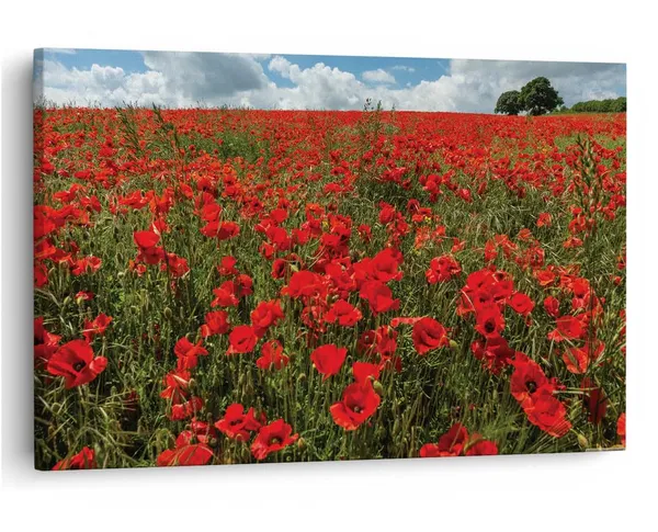Multicolor_16_X_24_Inch,_Pine_Wood_Framed_Canvas_Paintings_|_For_Home_Decor,_Ready_To_Wall_Hanging,_Premium_Painting_|_For_|_Bedroom,_Living_Room,_Office_Wall_Decoration_|_Wall_Art_Painting,_Ct2612