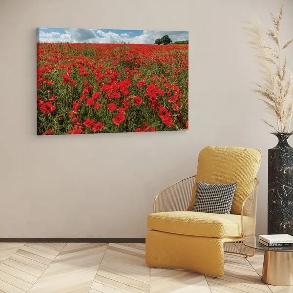 Multicolor_16_X_24_Inch,_Pine_Wood_Framed_Canvas_Paintings_|_For_Home_Decor,_Ready_To_Wall_Hanging,_Premium_Painting_|_For_|_Bedroom,_Living_Room,_Office_Wall_Decoration_|_Wall_Art_Painting,_Ct2612