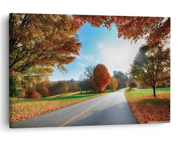 Multicolor_16_X_24_Inch,_Pine_Wood_Framed_Canvas_Paintings_|_For_Home_Decor,_Ready_To_Wall_Hanging,_Premium_Painting_|_For_|_Bedroom,_Living_Room,_Office_Wall_Decoration_|_Wall_Art_Painting,_Ct2638