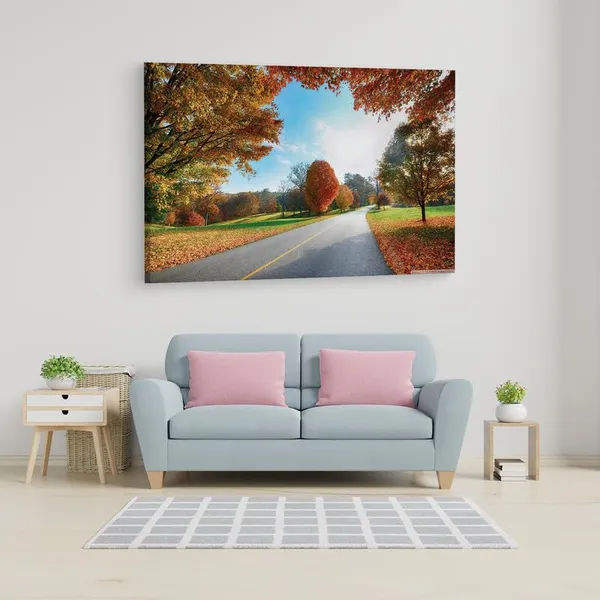 Multicolor_16_X_24_Inch,_Pine_Wood_Framed_Canvas_Paintings_|_For_Home_Decor,_Ready_To_Wall_Hanging,_Premium_Painting_|_For_|_Bedroom,_Living_Room,_Office_Wall_Decoration_|_Wall_Art_Painting,_Ct2638