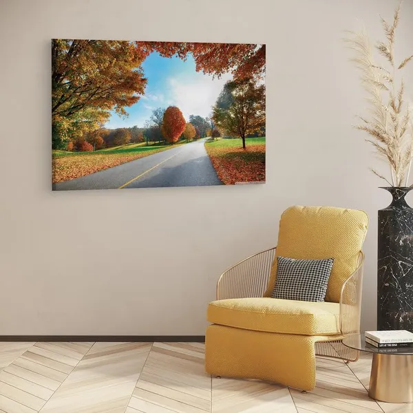 Multicolor_16_X_24_Inch,_Pine_Wood_Framed_Canvas_Paintings_|_For_Home_Decor,_Ready_To_Wall_Hanging,_Premium_Painting_|_For_|_Bedroom,_Living_Room,_Office_Wall_Decoration_|_Wall_Art_Painting,_Ct2638