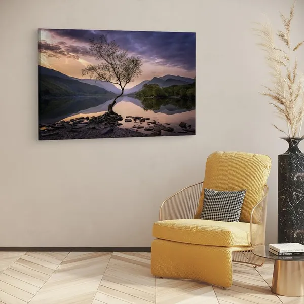 Multicolor_16_X_24_Inch,_Pine_Wood_Framed_Canvas_Paintings_|_For_Home_Decor,_Ready_To_Wall_Hanging,_Premium_Painting_|_For_|_Bedroom,_Living_Room,_Office_Wall_Decoration_|_Wall_Art_Painting,_Ct2646