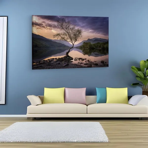 Multicolor_16_X_24_Inch,_Pine_Wood_Framed_Canvas_Paintings_|_For_Home_Decor,_Ready_To_Wall_Hanging,_Premium_Painting_|_For_|_Bedroom,_Living_Room,_Office_Wall_Decoration_|_Wall_Art_Painting,_Ct2646