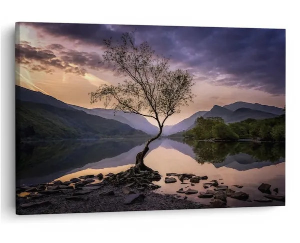 Multicolor_16_X_24_Inch,_Pine_Wood_Framed_Canvas_Paintings_|_For_Home_Decor,_Ready_To_Wall_Hanging,_Premium_Painting_|_For_|_Bedroom,_Living_Room,_Office_Wall_Decoration_|_Wall_Art_Painting,_Ct2647