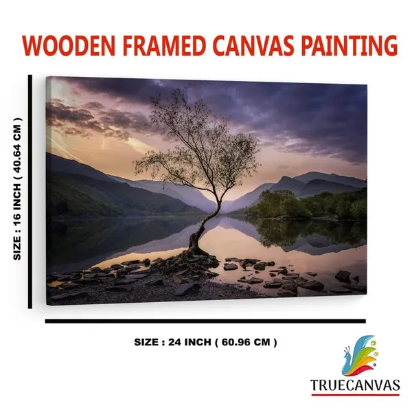Multicolor_16_X_24_Inch,_Pine_Wood_Framed_Canvas_Paintings_|_For_Home_Decor,_Ready_To_Wall_Hanging,_Premium_Painting_|_For_|_Bedroom,_Living_Room,_Office_Wall_Decoration_|_Wall_Art_Painting,_Ct2647