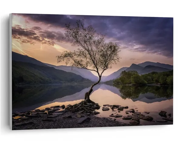 Multicolor_16_X_24_Inch,_Pine_Wood_Framed_Canvas_Paintings_|_For_Home_Decor,_Ready_To_Wall_Hanging,_Premium_Painting_|_For_|_Bedroom,_Living_Room,_Office_Wall_Decoration_|_Wall_Art_Painting,_Ct2648