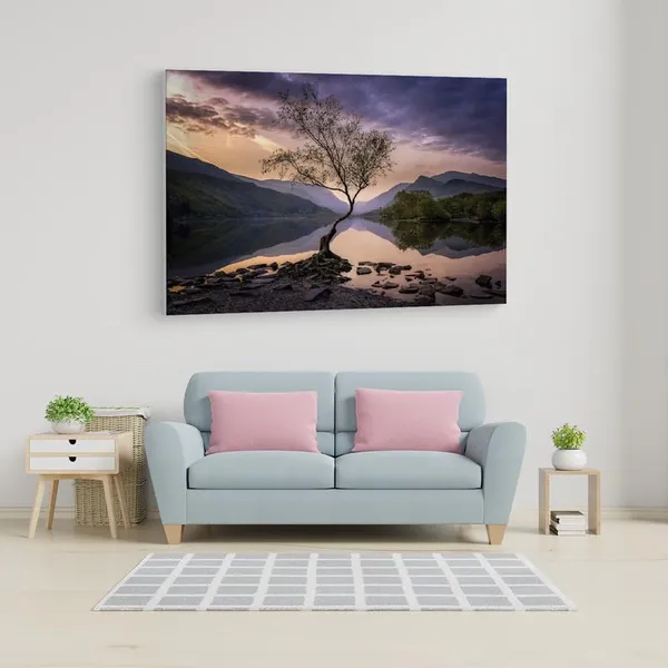 Multicolor_16_X_24_Inch,_Pine_Wood_Framed_Canvas_Paintings_|_For_Home_Decor,_Ready_To_Wall_Hanging,_Premium_Painting_|_For_|_Bedroom,_Living_Room,_Office_Wall_Decoration_|_Wall_Art_Painting,_Ct2648
