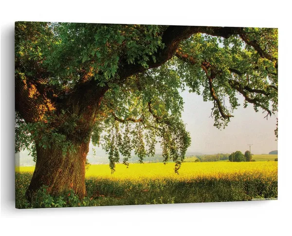 Multicolor_16_X_24_Inch,_Pine_Wood_Framed_Canvas_Paintings_|_For_Home_Decor,_Ready_To_Wall_Hanging,_Premium_Painting_|_For_|_Bedroom,_Living_Room,_Office_Wall_Decoration_|_Wall_Art_Painting,_Ct2666