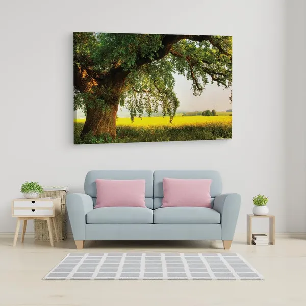 Multicolor_16_X_24_Inch,_Pine_Wood_Framed_Canvas_Paintings_|_For_Home_Decor,_Ready_To_Wall_Hanging,_Premium_Painting_|_For_|_Bedroom,_Living_Room,_Office_Wall_Decoration_|_Wall_Art_Painting,_Ct2666