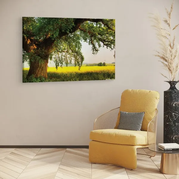 Multicolor_16_X_24_Inch,_Pine_Wood_Framed_Canvas_Paintings_|_For_Home_Decor,_Ready_To_Wall_Hanging,_Premium_Painting_|_For_|_Bedroom,_Living_Room,_Office_Wall_Decoration_|_Wall_Art_Painting,_Ct2666