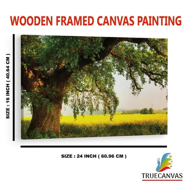 Multicolor_16_X_24_Inch,_Pine_Wood_Framed_Canvas_Paintings_|_For_Home_Decor,_Ready_To_Wall_Hanging,_Premium_Painting_|_For_|_Bedroom,_Living_Room,_Office_Wall_Decoration_|_Wall_Art_Painting,_Ct2666