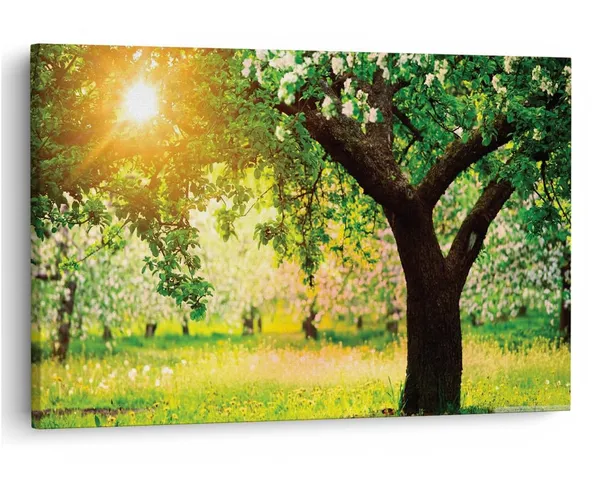 Multicolor_16_X_24_Inch,_Pine_Wood_Framed_Canvas_Paintings_|_For_Home_Decor,_Ready_To_Wall_Hanging,_Premium_Painting_|_For_|_Bedroom,_Living_Room,_Office_Wall_Decoration_|_Wall_Art_Painting,_Ct2674