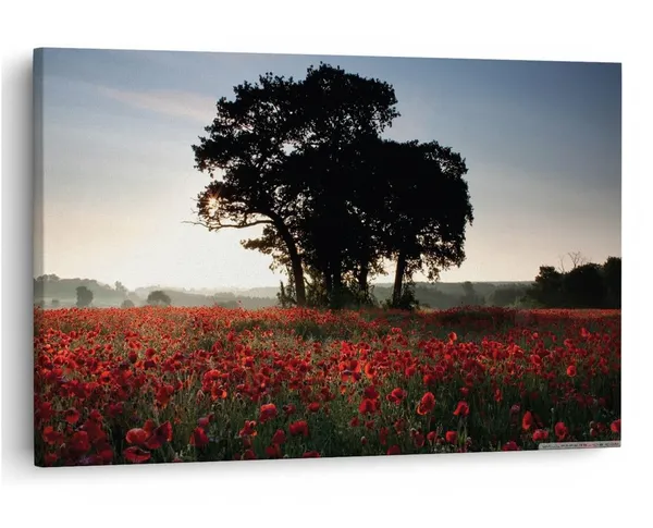 Multicolor_16_X_24_Inch,_Pine_Wood_Framed_Canvas_Paintings_|_For_Home_Decor,_Ready_To_Wall_Hanging,_Premium_Painting_|_For_|_Bedroom,_Living_Room,_Office_Wall_Decoration_|_Wall_Art_Painting,_Ct2723