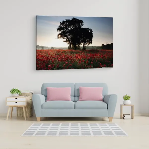 Multicolor_16_X_24_Inch,_Pine_Wood_Framed_Canvas_Paintings_|_For_Home_Decor,_Ready_To_Wall_Hanging,_Premium_Painting_|_For_|_Bedroom,_Living_Room,_Office_Wall_Decoration_|_Wall_Art_Painting,_Ct2723