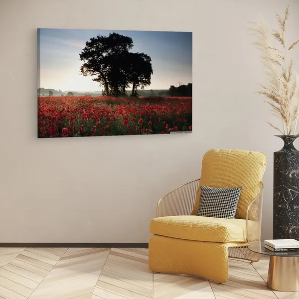 Multicolor_16_X_24_Inch,_Pine_Wood_Framed_Canvas_Paintings_|_For_Home_Decor,_Ready_To_Wall_Hanging,_Premium_Painting_|_For_|_Bedroom,_Living_Room,_Office_Wall_Decoration_|_Wall_Art_Painting,_Ct2723