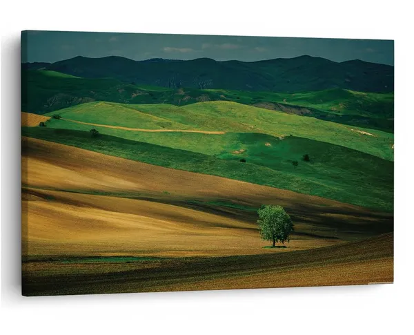 Multicolor_16_X_24_Inch,_Pine_Wood_Framed_Canvas_Paintings_|_For_Home_Decor,_Ready_To_Wall_Hanging,_Premium_Painting_|_For_|_Bedroom,_Living_Room,_Office_Wall_Decoration_|_Wall_Art_Painting,_Ct2742