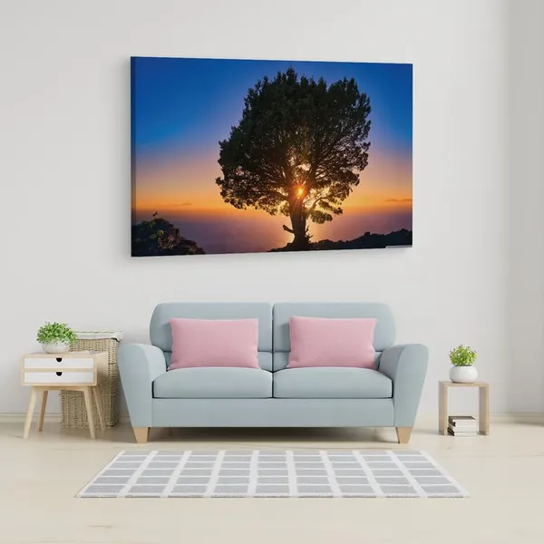 Multicolor_16_X_24_Inch,_Pine_Wood_Framed_Canvas_Paintings_|_For_Home_Decor,_Ready_To_Wall_Hanging,_Premium_Painting_|_For_|_Bedroom,_Living_Room,_Office_Wall_Decoration_|_Wall_Art_Painting,_Ct2743
