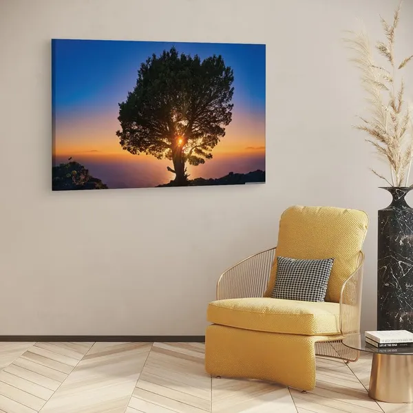 Multicolor_16_X_24_Inch,_Pine_Wood_Framed_Canvas_Paintings_|_For_Home_Decor,_Ready_To_Wall_Hanging,_Premium_Painting_|_For_|_Bedroom,_Living_Room,_Office_Wall_Decoration_|_Wall_Art_Painting,_Ct2743