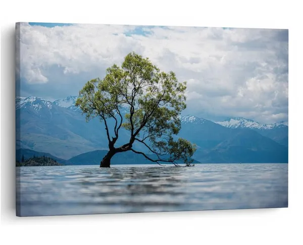 Multicolor_16_X_24_Inch,_Pine_Wood_Framed_Canvas_Paintings_|_For_Home_Decor,_Ready_To_Wall_Hanging,_Premium_Painting_|_For_|_Bedroom,_Living_Room,_Office_Wall_Decoration_|_Wall_Art_Painting,_Ct2749