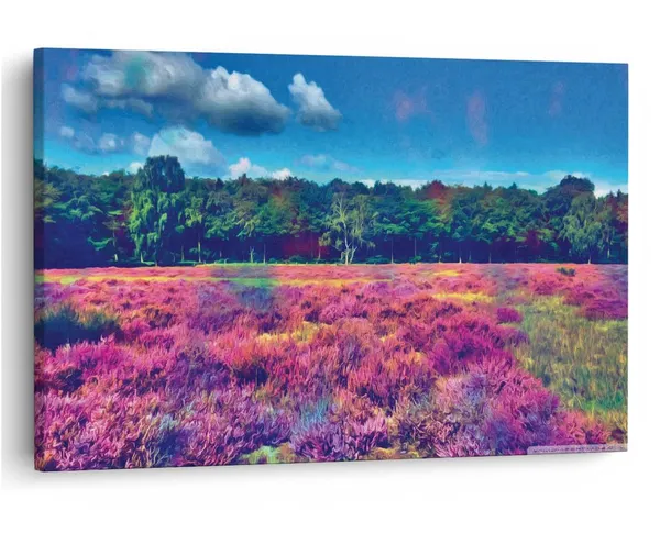 Multicolor_16_X_24_Inch,_Pine_Wood_Framed_Canvas_Paintings_|_For_Home_Decor,_Ready_To_Wall_Hanging,_Premium_Painting_|_For_|_Bedroom,_Living_Room,_Office_Wall_Decoration_|_Wall_Art_Painting,_Ct2812