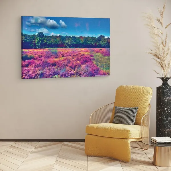 Multicolor_16_X_24_Inch,_Pine_Wood_Framed_Canvas_Paintings_|_For_Home_Decor,_Ready_To_Wall_Hanging,_Premium_Painting_|_For_|_Bedroom,_Living_Room,_Office_Wall_Decoration_|_Wall_Art_Painting,_Ct2812