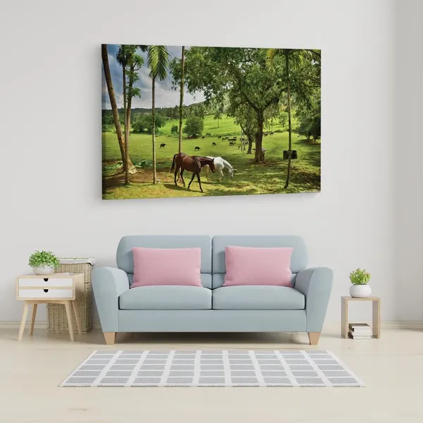 Multicolor_16_X_24_Inch,_Pine_Wood_Framed_Canvas_Paintings_|_For_Home_Decor,_Ready_To_Wall_Hanging,_Premium_Painting_|_For_|_Bedroom,_Living_Room,_Office_Wall_Decoration_|_Wall_Art_Painting,_Ct2816