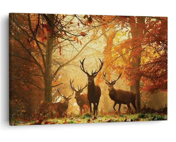 Multicolor_16_X_24_Inch,_Pine_Wood_Framed_Canvas_Paintings_|_For_Home_Decor,_Ready_To_Wall_Hanging,_Premium_Painting_|_For_|_Bedroom,_Living_Room,_Office_Wall_Decoration_|_Wall_Art_Painting,_Ct2905