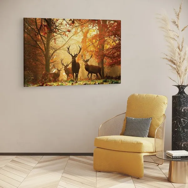 Multicolor_16_X_24_Inch,_Pine_Wood_Framed_Canvas_Paintings_|_For_Home_Decor,_Ready_To_Wall_Hanging,_Premium_Painting_|_For_|_Bedroom,_Living_Room,_Office_Wall_Decoration_|_Wall_Art_Painting,_Ct2905