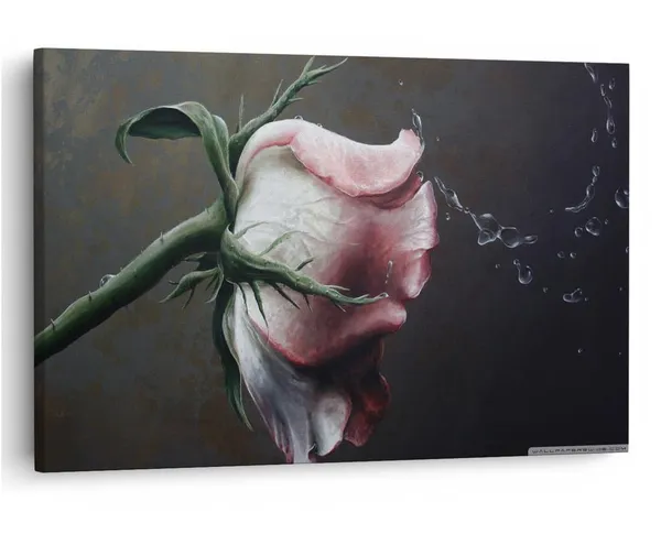 Multicolor_16_X_24_Inch,_Pine_Wood_Framed_Canvas_Paintings_|_For_Home_Decor,_Ready_To_Wall_Hanging,_Premium_Painting_|_For_|_Bedroom,_Living_Room,_Office_Wall_Decoration_|_Wall_Art_Painting,_Ct2936