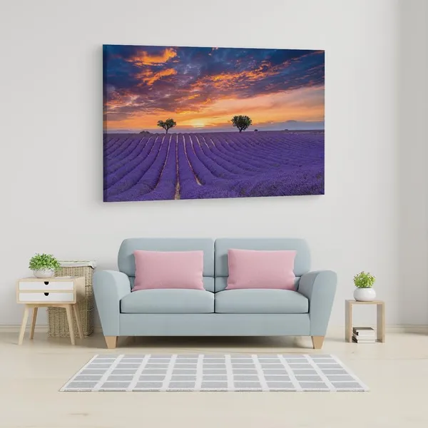 Multicolor_16_X_24_Inch,_Pine_Wood_Framed_Canvas_Paintings_|_For_Home_Decor,_Ready_To_Wall_Hanging,_Premium_Painting_|_For_|_Bedroom,_Living_Room,_Office_Wall_Decoration_|_Wall_Art_Painting,_Ct3086