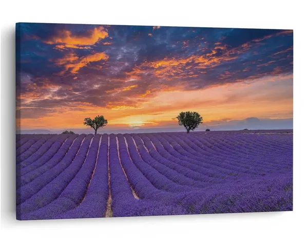 Multicolor_16_X_24_Inch,_Pine_Wood_Framed_Canvas_Paintings_|_For_Home_Decor,_Ready_To_Wall_Hanging,_Premium_Painting_|_For_|_Bedroom,_Living_Room,_Office_Wall_Decoration_|_Wall_Art_Painting,_Ct3086