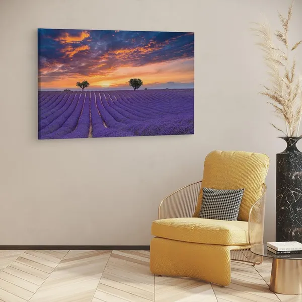 Multicolor_16_X_24_Inch,_Pine_Wood_Framed_Canvas_Paintings_|_For_Home_Decor,_Ready_To_Wall_Hanging,_Premium_Painting_|_For_|_Bedroom,_Living_Room,_Office_Wall_Decoration_|_Wall_Art_Painting,_Ct3086