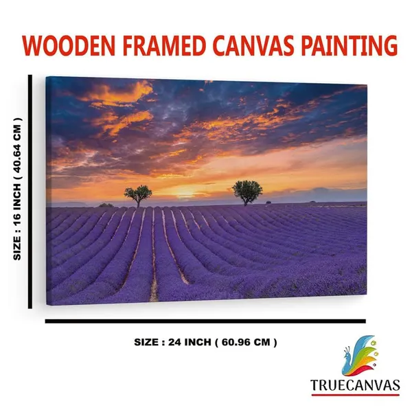 Multicolor_16_X_24_Inch,_Pine_Wood_Framed_Canvas_Paintings_|_For_Home_Decor,_Ready_To_Wall_Hanging,_Premium_Painting_|_For_|_Bedroom,_Living_Room,_Office_Wall_Decoration_|_Wall_Art_Painting,_Ct3086