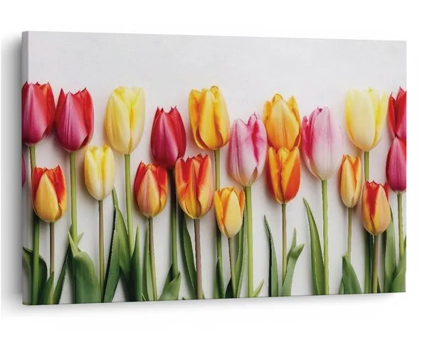 Multicolor_16_X_24_Inch,_Pine_Wood_Framed_Canvas_Paintings_|_For_Home_Decor,_Ready_To_Wall_Hanging,_Premium_Painting_|_For_|_Bedroom,_Living_Room,_Office_Wall_Decoration_|_Wall_Art_Painting,_Ct3097