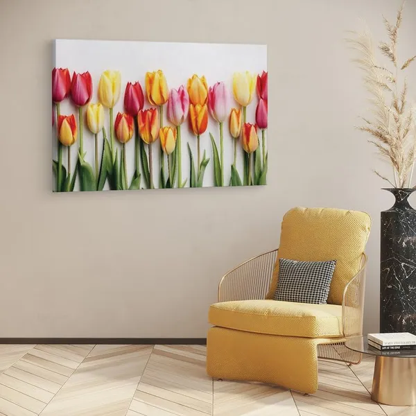 Multicolor_16_X_24_Inch,_Pine_Wood_Framed_Canvas_Paintings_|_For_Home_Decor,_Ready_To_Wall_Hanging,_Premium_Painting_|_For_|_Bedroom,_Living_Room,_Office_Wall_Decoration_|_Wall_Art_Painting,_Ct3097