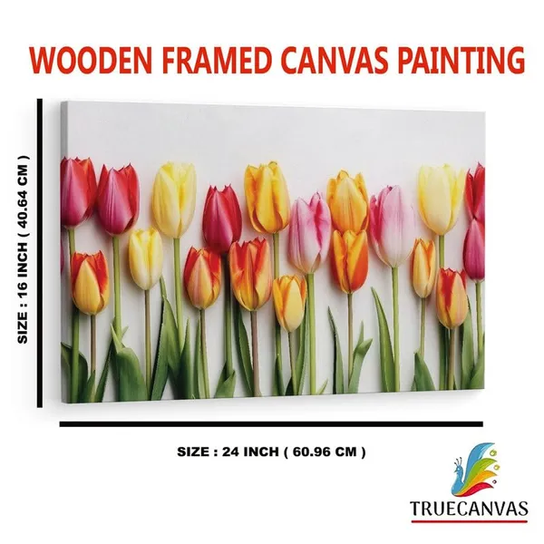 Multicolor_16_X_24_Inch,_Pine_Wood_Framed_Canvas_Paintings_|_For_Home_Decor,_Ready_To_Wall_Hanging,_Premium_Painting_|_For_|_Bedroom,_Living_Room,_Office_Wall_Decoration_|_Wall_Art_Painting,_Ct3097