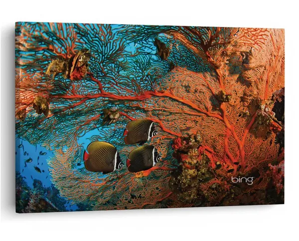 Multicolor_16_X_24_Inch,_Pine_Wood_Framed_Canvas_Paintings_|_For_Home_Decor,_Ready_To_Wall_Hanging,_Premium_Painting_|_For_|_Bedroom,_Living_Room,_Office_Wall_Decoration_|_Wall_Art_Painting,_Ct3136