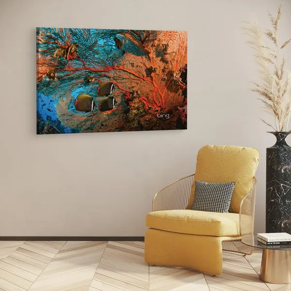 Multicolor_16_X_24_Inch,_Pine_Wood_Framed_Canvas_Paintings_|_For_Home_Decor,_Ready_To_Wall_Hanging,_Premium_Painting_|_For_|_Bedroom,_Living_Room,_Office_Wall_Decoration_|_Wall_Art_Painting,_Ct3136