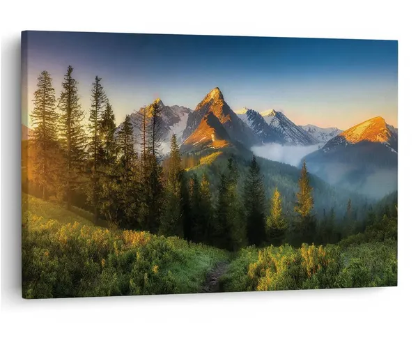 Multicolor_16_X_24_Inch,_Pine_Wood_Framed_Canvas_Paintings_|_For_Home_Decor,_Ready_To_Wall_Hanging,_Premium_Painting_|_For_|_Bedroom,_Living_Room,_Office_Wall_Decoration_|_Wall_Art_Painting,_Ct3261