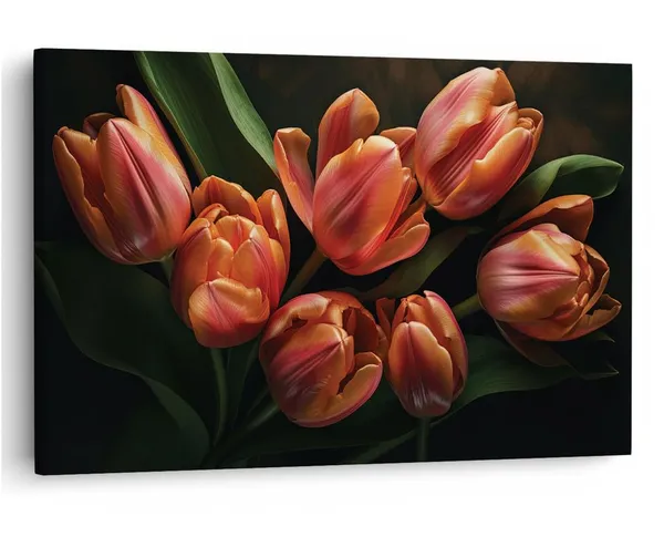 Multicolor_16_X_24_Inch,_Pine_Wood_Framed_Canvas_Paintings_|_For_Home_Decor,_Ready_To_Wall_Hanging,_Premium_Painting_|_For_|_Bedroom,_Living_Room,_Office_Wall_Decoration_|_Wall_Art_Painting,_Ct3270
