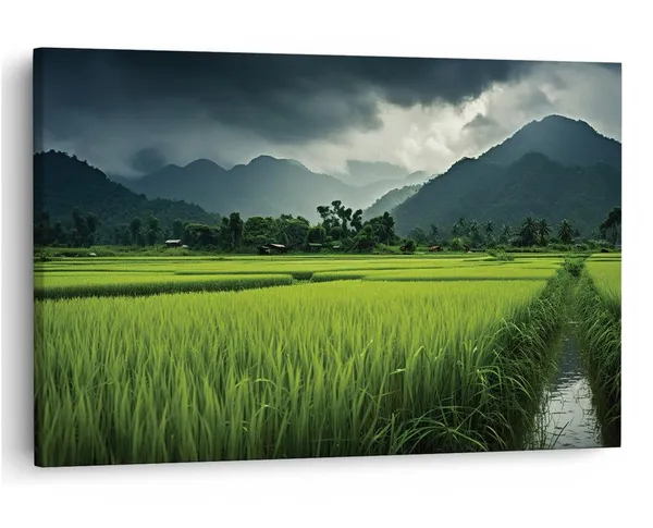 Multicolor_16_X_24_Inch,_Pine_Wood_Framed_Canvas_Paintings_|_For_Home_Decor,_Ready_To_Wall_Hanging,_Premium_Painting_|_For_|_Bedroom,_Living_Room,_Office_Wall_Decoration_|_Wall_Art_Painting,_Ct3281