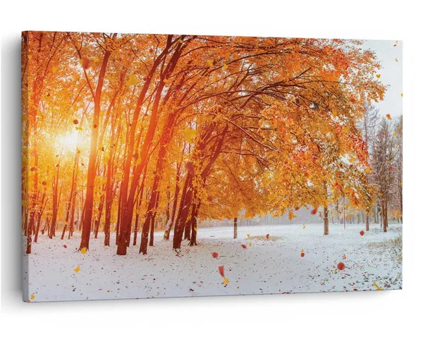 Multicolor_16_X_24_Inch,_Pine_Wood_Framed_Canvas_Paintings_|_For_Home_Decor,_Ready_To_Wall_Hanging,_Premium_Painting_|_For_|_Bedroom,_Living_Room,_Office_Wall_Decoration_|_Wall_Art_Painting,_Ct3559