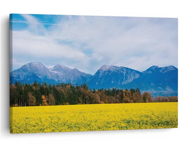 Multicolor_16_X_24_Inch,_Pine_Wood_Framed_Canvas_Paintings_|_For_Home_Decor,_Ready_To_Wall_Hanging,_Premium_Painting_|_For_|_Bedroom,_Living_Room,_Office_Wall_Decoration_|_Wall_Art_Painting,_Ct3579