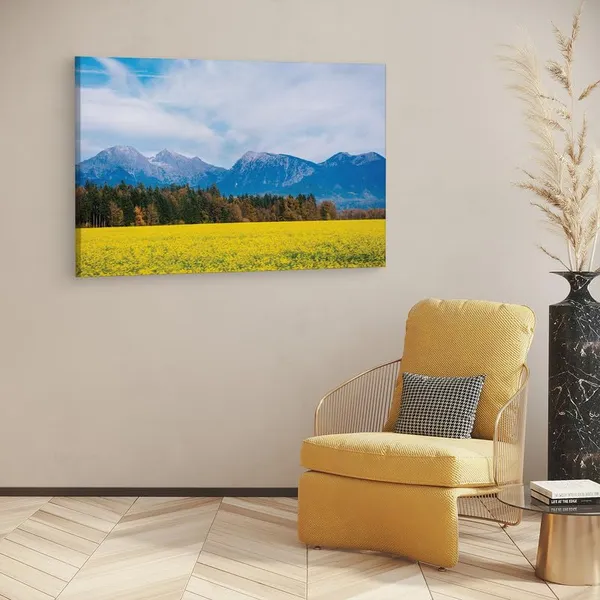Multicolor_16_X_24_Inch,_Pine_Wood_Framed_Canvas_Paintings_|_For_Home_Decor,_Ready_To_Wall_Hanging,_Premium_Painting_|_For_|_Bedroom,_Living_Room,_Office_Wall_Decoration_|_Wall_Art_Painting,_Ct3579