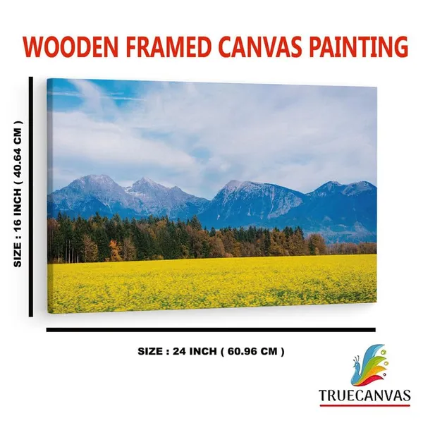 Multicolor_16_X_24_Inch,_Pine_Wood_Framed_Canvas_Paintings_|_For_Home_Decor,_Ready_To_Wall_Hanging,_Premium_Painting_|_For_|_Bedroom,_Living_Room,_Office_Wall_Decoration_|_Wall_Art_Painting,_Ct3579
